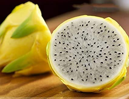 Rare Grand Dragon Jaune Fruit Pitaya Graines bio, Paquet professionnel, 30 graines / Paquet Sweet Selenicereus megalanthus e3267