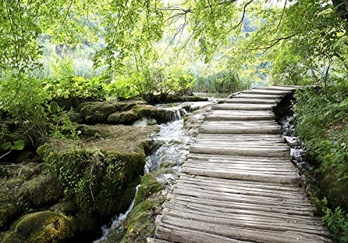 decomonkey Premium Fototapete Wald Natur 350x256 cm XL Tapete Wandbild Bild Fototapete Tapeten Wandtapete Wandtapeten Landschaft Wasserfall