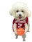 Hunde-Basketball-Halloween-Kostüm, Hunde-Halloween-Kostüm, lustiges Hundekostüm, Basketball-Hundekostüm, Halloween-Haustier-Outfit, Cosplay-Hundekostüm, Hunde-Streichkostüm, Hunde-Basketball