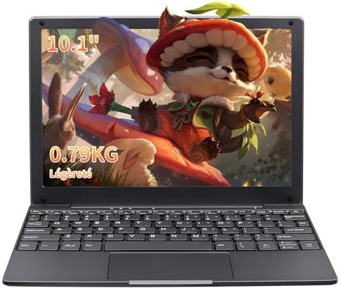 LONGEVINCE Mini Ordinateur Portable De 10,1 Pouces, Processeur Celeron N4020,1280 * 800, Mémoire 8G, BT5.0, Type-C, USB3.0 * 2, Mini HDMI, Carte TF,0,79 Kg(Gris,8G+256GB SSD)
