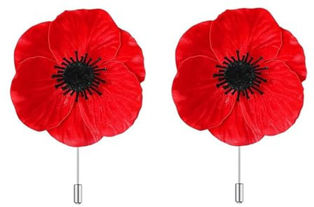 Lot de 2 broches coquelicots rouges pour femmes et filles, taille unique, Acier allié