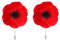 Lot de 2 broches coquelicots rouges pour femmes et filles, taille unique, Acier allié
