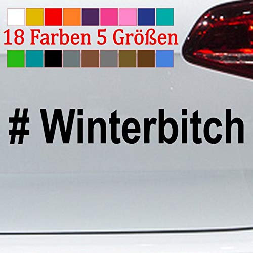 Winterbitch Aufkleber Winterauto Winterhure Sticker Heckschleuder VW 5 Größen