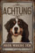30 x 20 cm wetterfestes Blechschild, Warnhinweis, Torschild, Achtung, hier Wache ich! Warnung vor dem Hund (Berner Sennenhund)