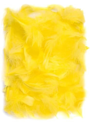 Kielsjajd Gelb Federn zum Basteln, 100 Stück Natürliche Federn Deko Federn Basteln Weich Feather Bastelfedern für DIY Basteln Dekoration Ostern Küken und Ostereier, Weihnachten Dekofigur