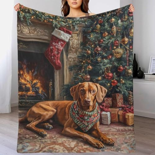 Christmas Dog by Fireplace Painting Vizsla Dog with Stocking Kids Fluffy Blanket Microfiber Tv Blanket for Picnic Gift for Family & Friend 60x80inch(150x200cm)