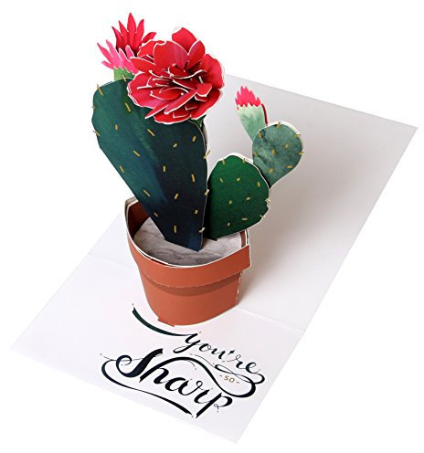 UWP LUXE Geburtstag Pop UP 3D Laser Karte Grußkarte Kaktus 13x11cm