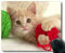 Gaming mouse mat,Cat mouse pad,Mouse mat for Computer cat326
