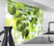 timalo Herd Spritzschutz Wand Spüle, Küche Küchenrückwand Glasoptik | Acryl Glas 2mm | Glasrückwand Acrylglas Küchenpaneele Rückwandschutz Platte | 80x60cm Grüne Zitronen Blätter