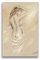 Premium Textil-Leinwand 30 x 45 cm Hoch-Format Reizvolle Rundungen, Leinwanddruck von Marita Zacharias