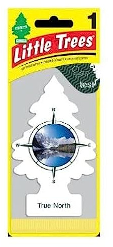 Little Trees True North Scent Air Freshener, 24 Pack