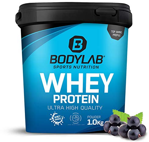 Bodylab24 Whey Protein Pulver, Blaubeere, 1kg