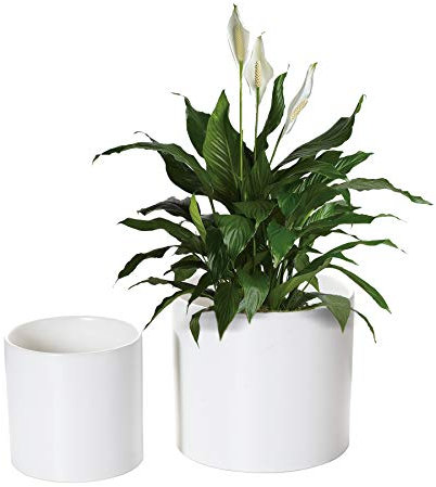 Nihow Lot de 2 pots de fleurs en céramique de 12,7 cm et 17,8 cm pour plantes d'intérieur – Pot de fleurs cylindrique robuste et moderne avec drainage et bouchons en caoutchouc amovibles – Blanc mat –