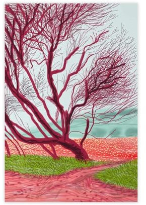 FISH DRAGATE Leinwandposter David Hockney 12, Schlafzimmer-Dekor, Sportlandschaft, Büro, Raumdekoration, Geschenk, ungerahmt, 40 x 60 cm