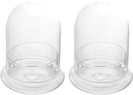 Cabilock 2pcs Glass Cloche Bell Jar with Round Base Glass Cloche Dome Jar Terrarium Glass Dome Bottle Miniature Floral Decoration