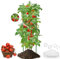 Isheurg Tomaten Rankhilfe,130cm Rankhilfen Gurken Pflanzenstütze,Einstellbar Höhe Garten Rankhilfe für Tomate, Gurken, Rosen, Garten,Rankgitter Metall,Mit 50 Stück Pflanzenclips