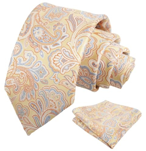 Alizeal Herren-Krawatte und Einstecktuch, Paisleymuster, Jacquard-Krawatte und Einstecktuch, für formelle Anlässe, Hochzeit, Party, klassisches Krawatten-Set