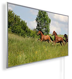 Könighaus 1000W Infrarotheizung mit Bild in HD Qualität ✓ inkl. Thermostat ✓ 5 Jahre Garantie ✓ Doppelter überhitzungsschutz ✓ Infrarot Wandheizung ✓ Motiv: 256. Pferde