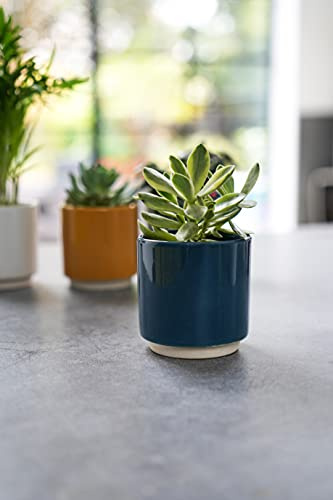 Ivyline Enos Topf blau H 7,5 cm T 7 cm