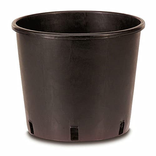 AlmaStore 10 PEZZI | Vasi di plastica per Piante, Fiori, Orto e la Semina | Perfetti per Il Giardinaggio e la Coltivazione | Diametro 30