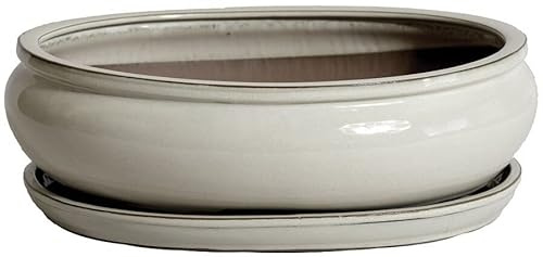 Garden Center shop by VM Tiesto DE CERÁMICA Ovalado BONSÁI VITRIFICADO Rhea 26X21X8CM Plato Incluido (Crema)