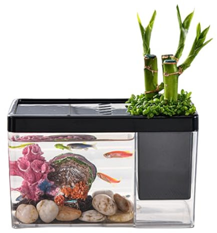 Transparent Betta Aquarium Desktop Fish Tank | Small Bowl Organizer for Shrimp, Small Crab Habitats