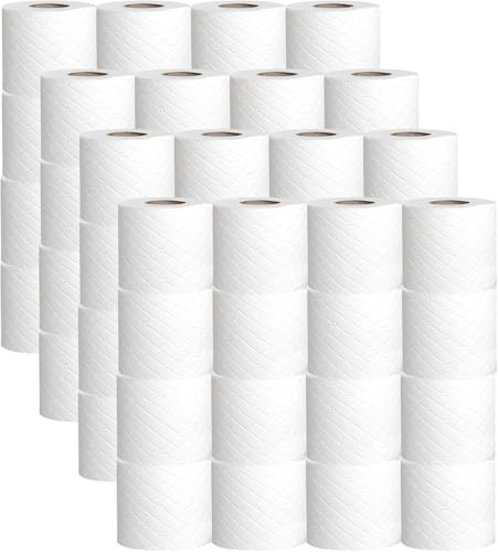 KARAVI 72 Rolls 2-Ply Quilted Tissue Toilet Paper Bulk Pack,Soft Toilet Tissue Rolls, 100 Sheets Per Roll,Toilet Rolls Bulk Buy for Home Office Restaurant and Commercial Use
