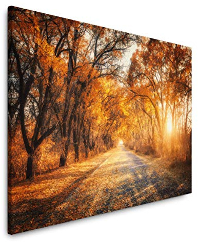 Paul Sinus Art Bäume um einen Schleichweg 120x 80cm Inspirierende Fotokunst in Museums-Qualität für Ihr Zuhause als Wandbild auf Leinwand in