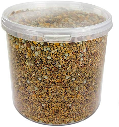 GardenersDream Four Seasons Pigeon Corn | Premium Grade Natural Food Mix | Rich in Nutritious Oils, Vitamins and Minerals | Perfect Year-Round Wild Bird Seed Feed | High in Energy & Protein (5L Tub)