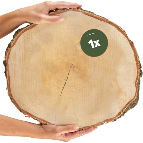Große Holzscheibe in 35 cm (33-37cm) Durchmesser für DIY Basteln und Dekorieren - 1 Stück runde Birkenholz Baumscheibe - Naturbelassene Holz Birkenscheibe als Holzdeko Holzplatten