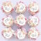 Blumomon 40Pcs Edible 21th Happy Birthday Cupcake Toppers Happy 21 Cupcake Topper 21 Cake Decoration for 21th Birthday Party Decoration