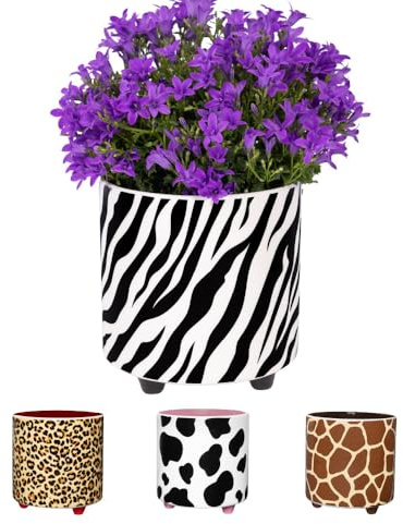 Fisura – Cache-Pot zèbre Original en céramique. Pot décoratif intérieur avec Pieds. Idéal pour Cactus, Fleurs ou Plantes Grasses. Mesures: 13 x 12,5 cm.