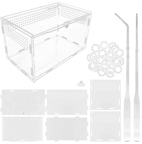 Boîte d'alimentation en Acrylique pour Reptiles 20 x 12 x 12 cm Terrarium en Verre Transparent - 2 Pinces Droites et incurvées pour Animaux domestiques - pour Insectes, araignées,crabes, lézard