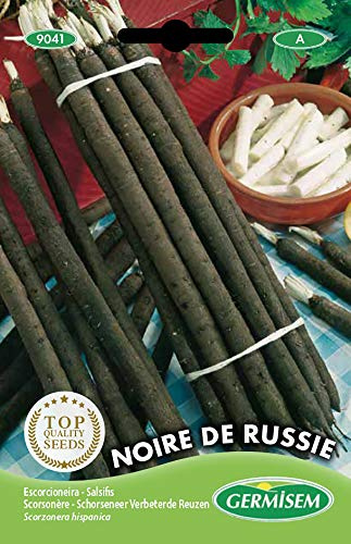 Germisem Schwarzwurzeln NOIRE DE RUSSIE, mehrfarbig, EC9041