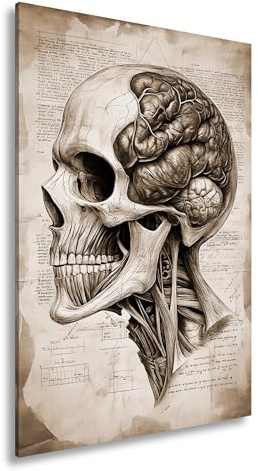 Leinwandbild Anatomie der Gedanken – der Schädel als Kunst der Erkenntnis. Format:90x60cm Effekt: Sepia XXL Kunstdruck Bild auf Keilrahmen/Wandbild/Wohnzimmer Dekoration
