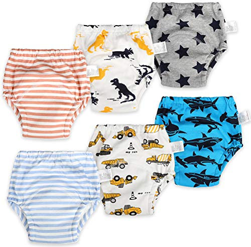 FLYISH DIRECT Baby Training Pants Potty Training Pants Toddler Potty Training Underwear for Toilet Training Underwear, 6 Packs, Age 2, Blue