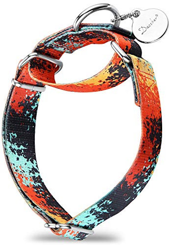 Dazzber Martingale Hundehalsbänder Bunte Ölgemälde Muster Serie - No Pull Haustierhalsband Seidig weich für mittlere und große Hunde (Mittel, 2,5 cm breit, Dschungel Sonnenuntergang)