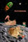 Notebook: Ginger Cats in Outer Space