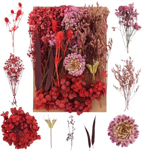 Trockenblumen,Natürliche Gemischte Getrocknete Blumen,Trockenblumen Zum Basteln,Trockenblumen Klein für DIY Epoxidharz Scrapbook Zubehör Handwerk Karten Machen (Rot)