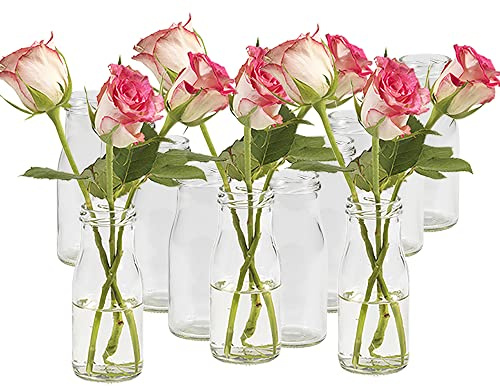 10 Stück Runde | Typ 156 | Mini Vasen Glasfläschchen kleine | Dekoflaschen Flasche | Väschen Vase Glasflaschen Blumenvase (10 Stück)