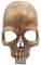 Garosa Gothic-Totenkopf-Nachtlicht, Raumdekoration, Skelett-Lampe, Einzigartiges Totenkopf-, Lampendekoration, Halloween-Skelett, Gruselige Heimdekoration für Männer und