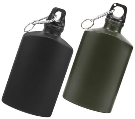 HEMOTON 2pièces Bouteille Eau Plate Alliage Aluminium Avec Crochet Gourde Étanche Et Compacte Pour Randonnée Camping Et Sport Extérieur