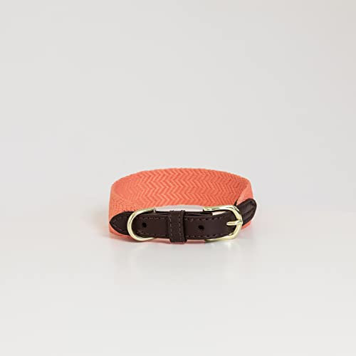 Kentucky Dogwear - Jacquard Hundehalsband - Neon Orange - Größe L - 62cm