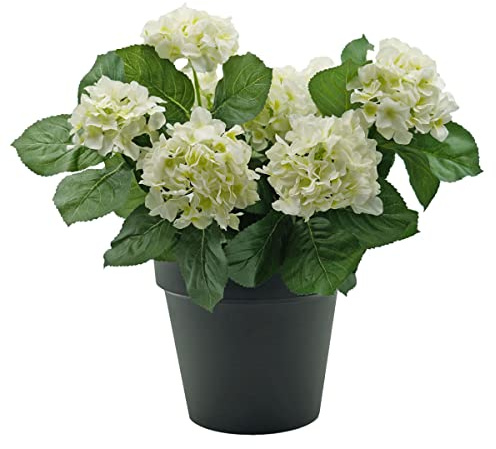 GreenBrokers Premium Quality Artificial White Hydrangea Flower Bush in Black Pot (50cm) with Nine Flower Clusters for Home or Outdoor Living