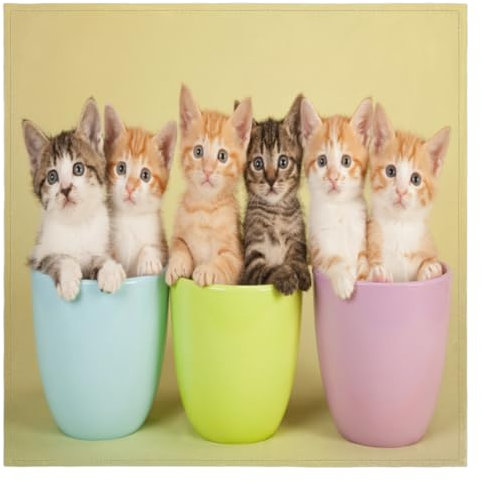 TropicalLife Stoffservietten mit Katzenmotiv, 50,8 x 50,8 cm, waschbar, wiederverwendbar, für Hochzeiten, Partys, Urlaub, Familienessen, 6 Stück, A-0005-003-0393-03-2437-01T2