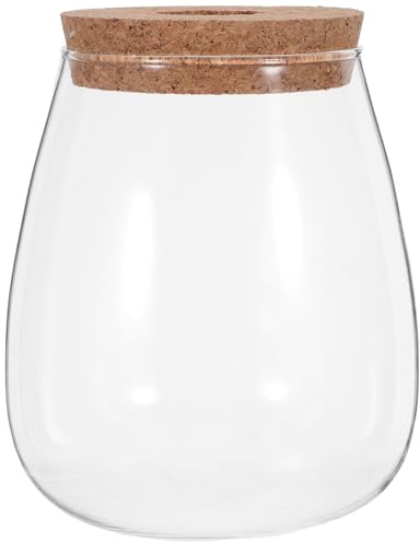 Kisangel Lot de 2 Vases Hydroponiques en Verre Grand Modèle avec Bouchon en Liège Perforé et Plateau en Bambou, Conteneurs de Propagation pour Plantes D’intérieur, Culture de Boutures