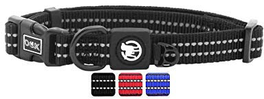 DDOXX Reflektierendes Nylon Hundehalsband - Stabiles und Verstellbares Welpenhalsband für alle Größen - S (Schwarz mit Neopren)