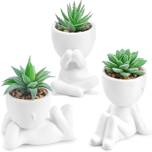 Der Rose Paquete de 3 plantas suculentas artificiales para habitación, baño, hogar, oficina, escritorio, decoración para mujeres