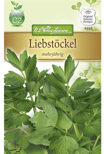 Maggikraut Liebstöckel Samen, Saatgut