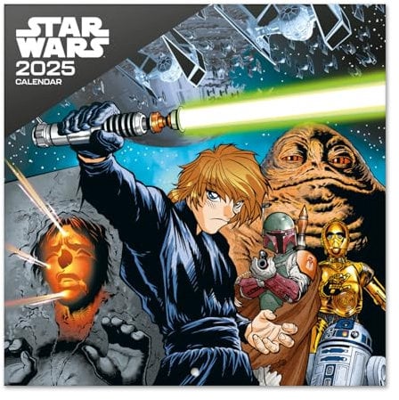 Kalender 2025 Wandkalender 2025 Grupo Erik Star Wars Kalender 2025 Familienplaner 2025 30 x 30 cm Jahreskalender Familienkalender 2025